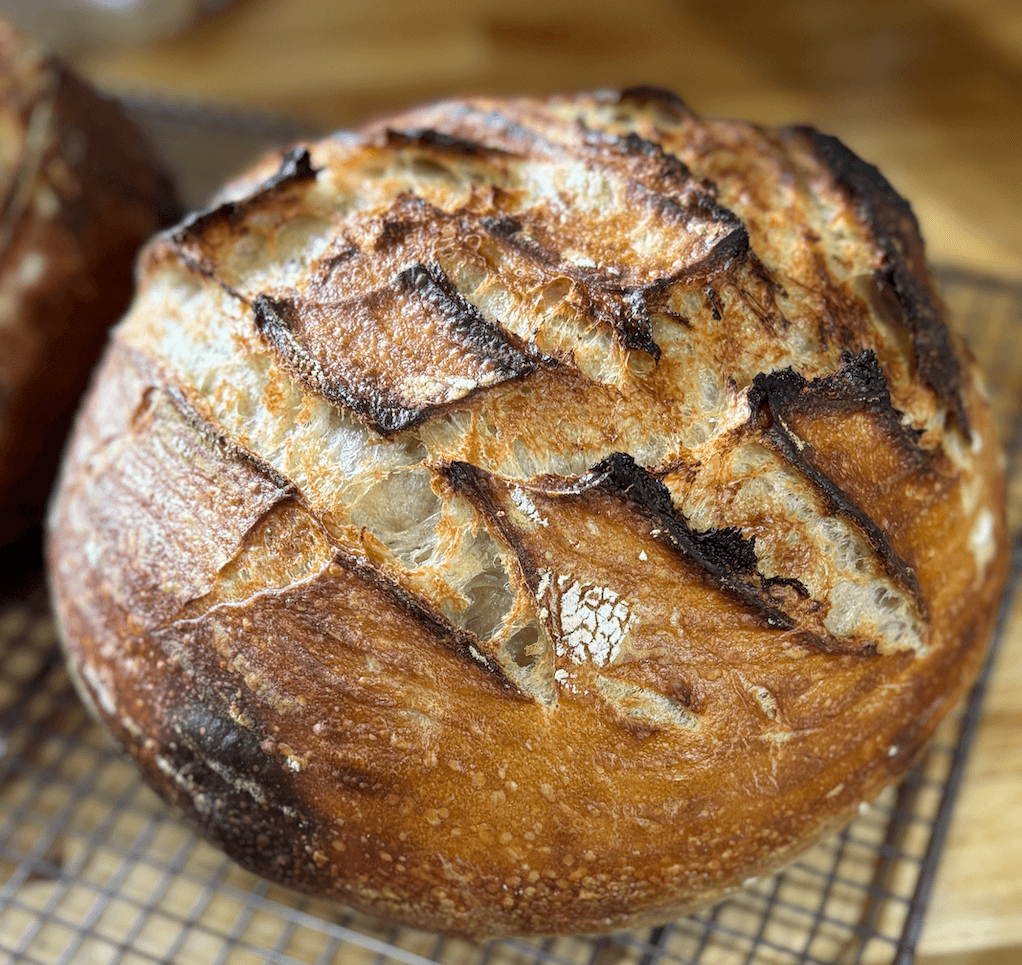 Sourdough